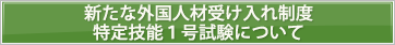 新たな外国人材受け入れ制度